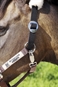 Headcollar 'Stretch & Breath'®